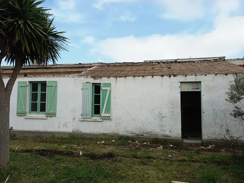 Bâtiment bas aux murs enduits de blanc, fenêtres et volets battants verts, porte ouverte, couverture déposée, palmier au premier plan.